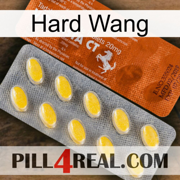 Hard Wang 42.jpg